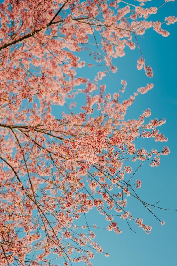 Отель Le Phuong Dalat Экстерьер фото